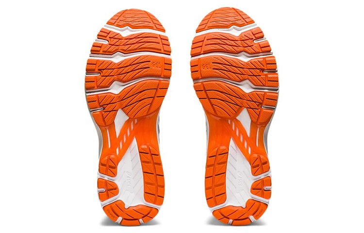 Asics GT-2000 9
