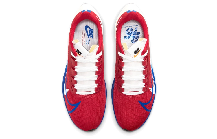 Nike Pegasus 37