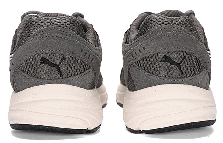 PUMA Axis