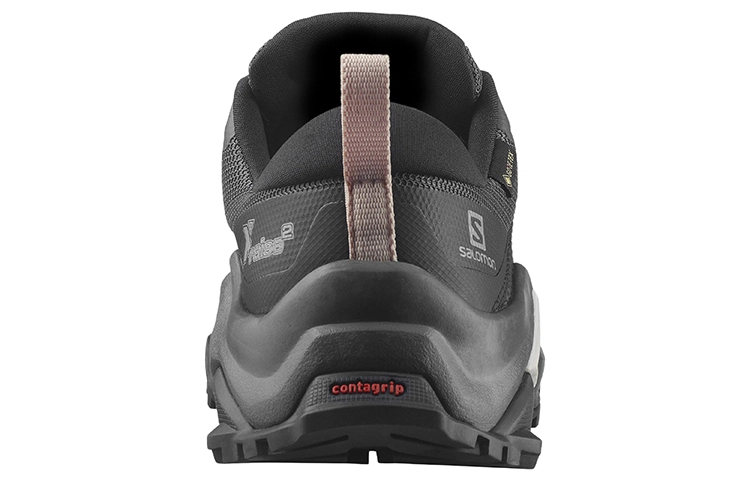 SALOMON X Raise 2 Gore-Tex