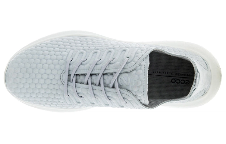 ecco Therap