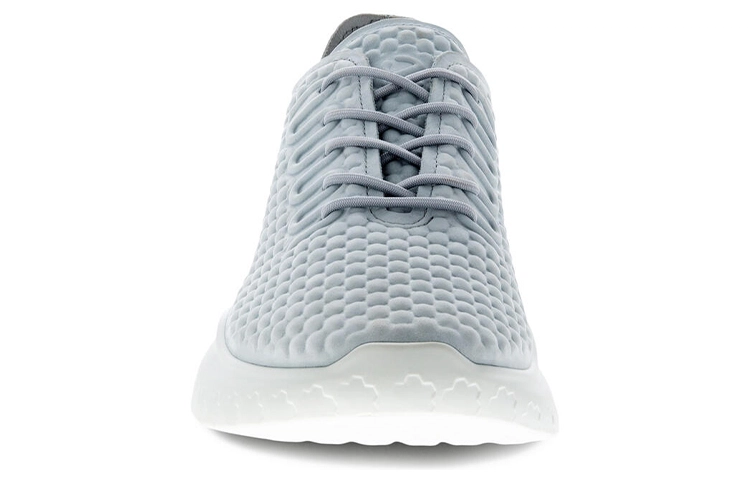 ecco Therap