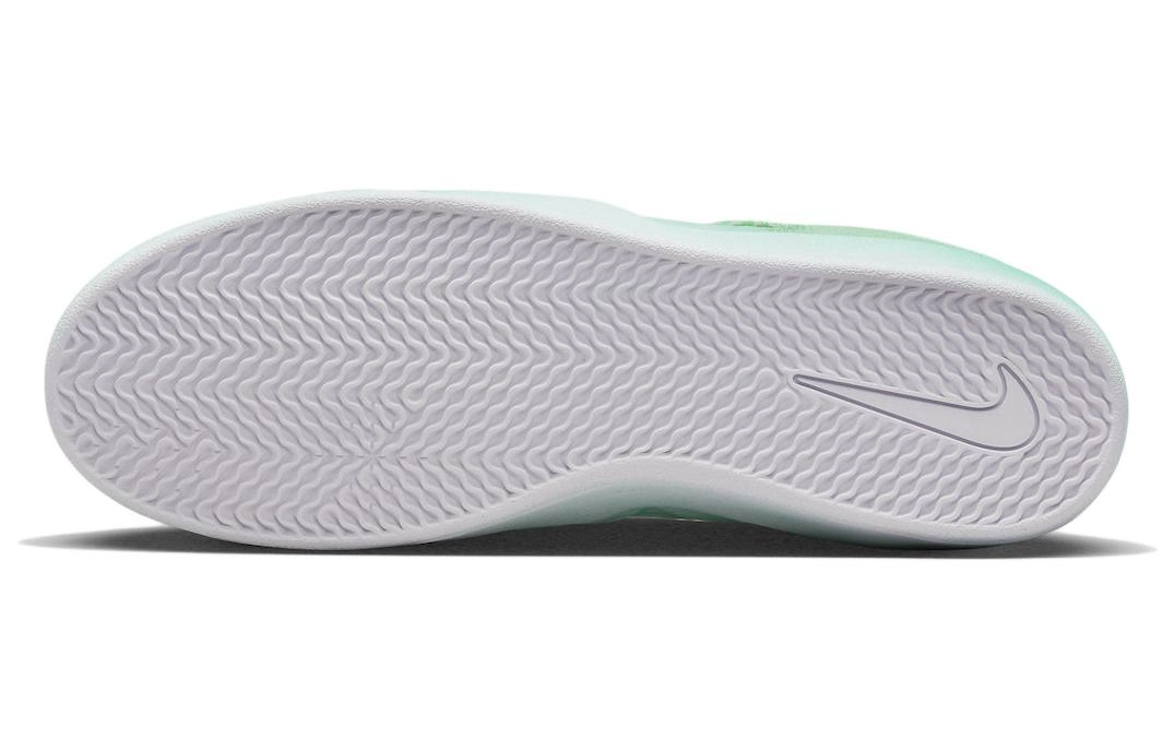 Nike SB Ishod