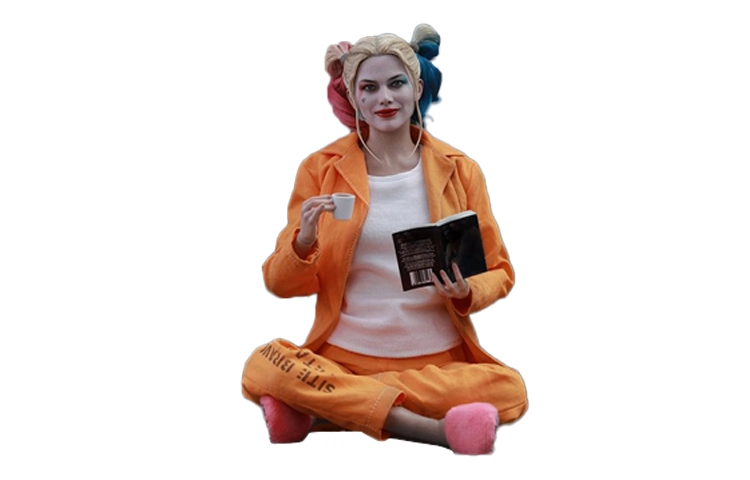 Hot Toys x 16 28.5cm