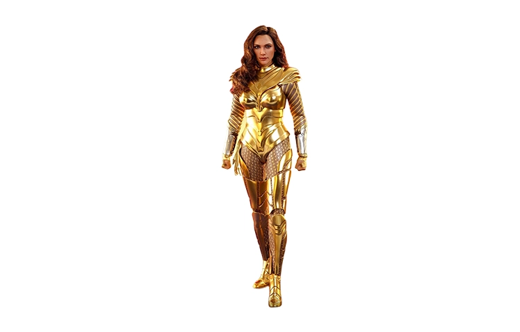 Hot Toys 16 5.0 30.5cm