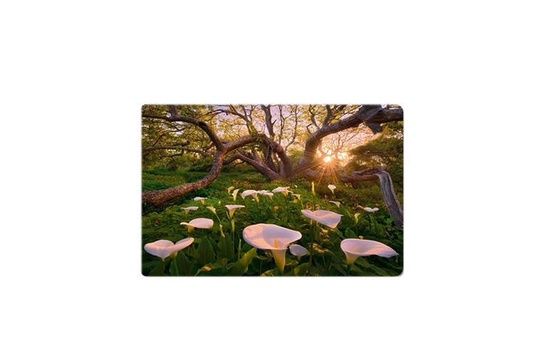 HEYE 1000pcs 29906