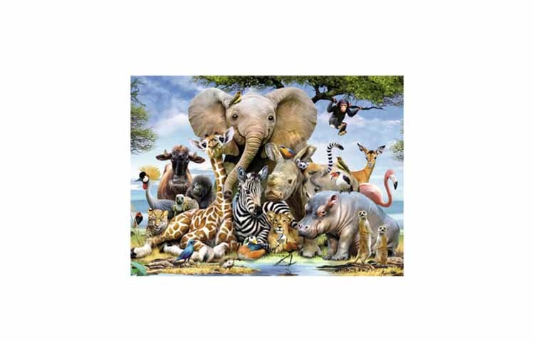 Ravensburger 300pcs 130757