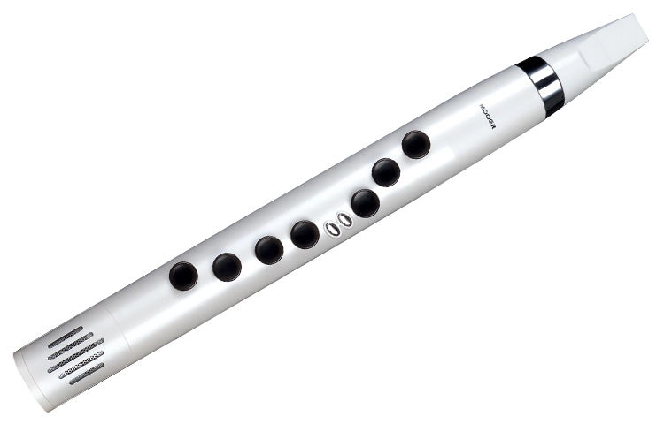 MOOER Wi100