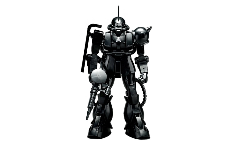 BANDAI PG 160 ZAKUII 30cm
