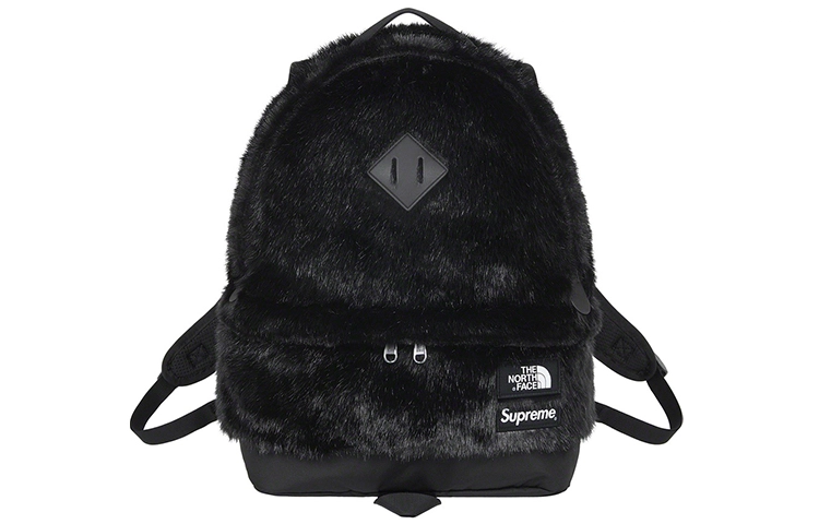 Supreme x The North Face FW20 Week16 Logo