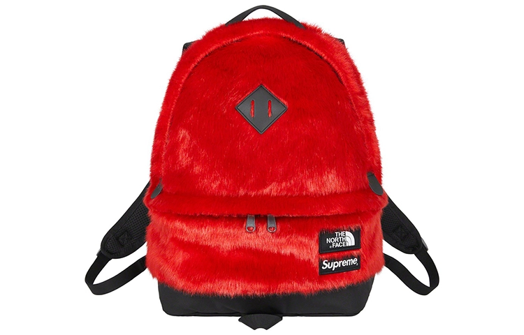 Supreme x The North Face FW20 Week16 Logo