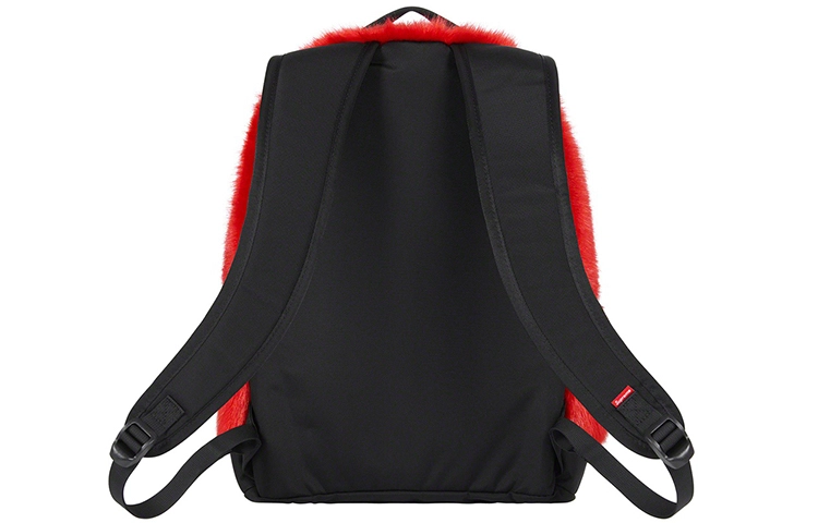 Supreme x The North Face FW20 Week16 Logo