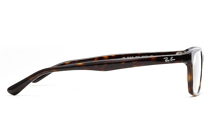 RayBan