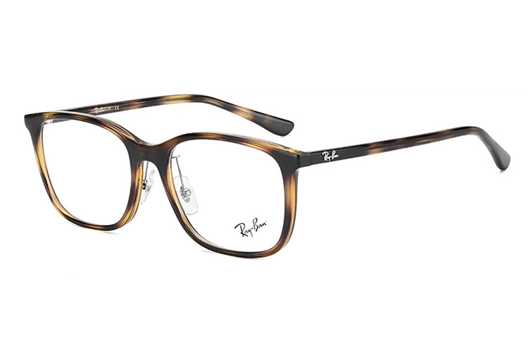 RayBan