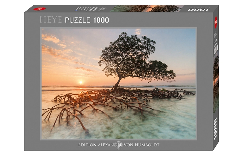 HEYE 1000pcs 29856