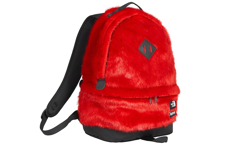 Supreme x The North Face FW20 Week16 Logo