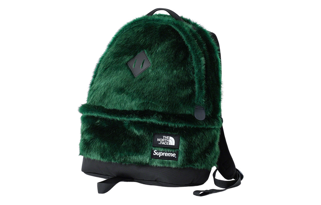 Supreme x The North Face FW20 Week16 Logo