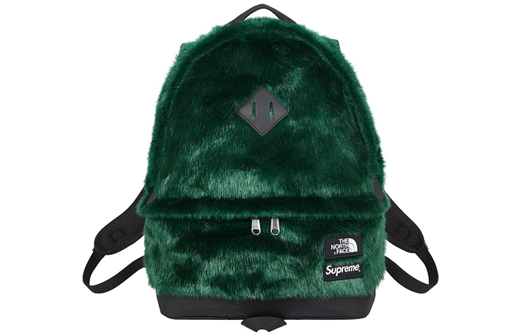 Supreme x The North Face FW20 Week16 Logo