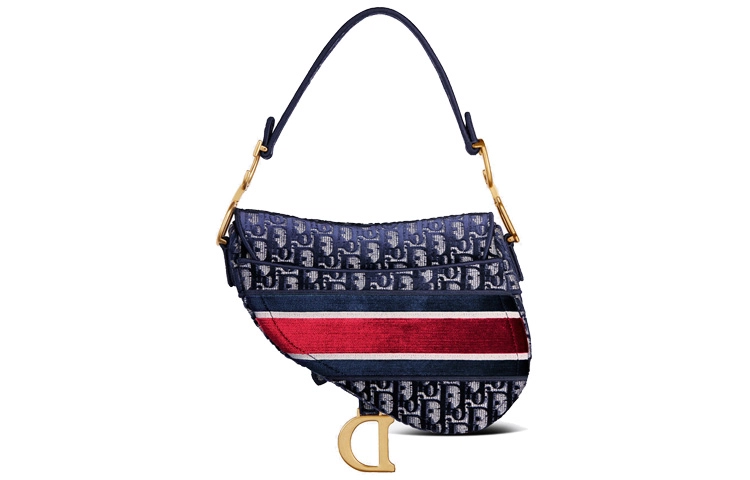DIOR Saddle Oblique