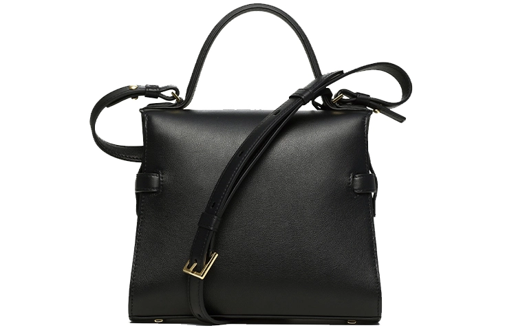 Delvaux Tempte