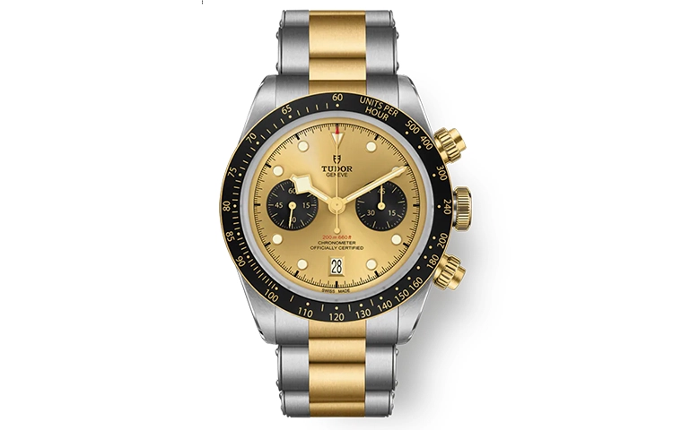 TUDOR 41mm M79363N-0007