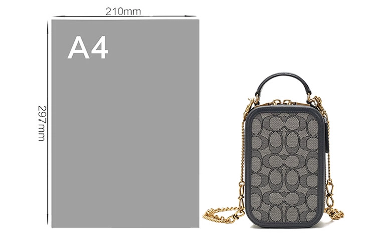 COACH Alie Logo PVC