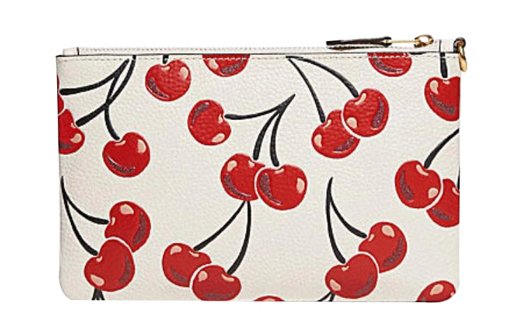 COACH Wristlet 19