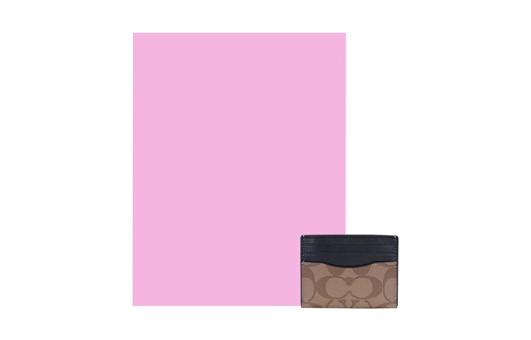 COACH Card Case 10