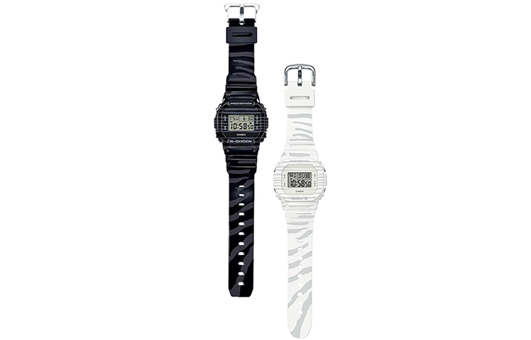 CASIO G-SHOCK BABY-G SLV-19B-1PFZB