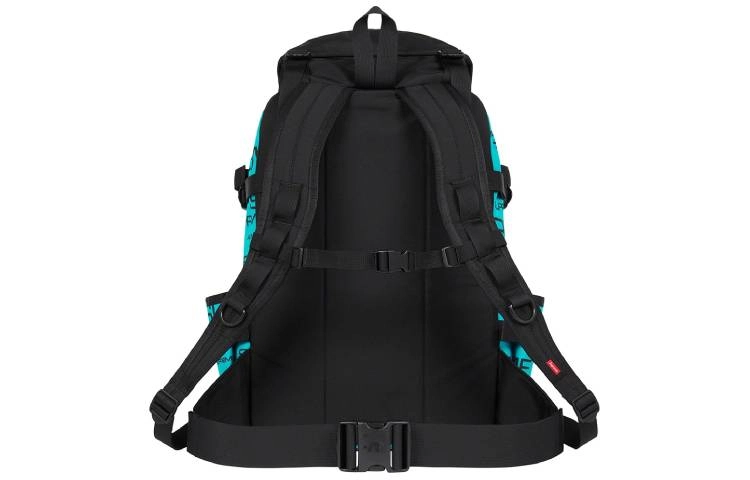 Supreme x The North Face Week 9Steep TechLogo
