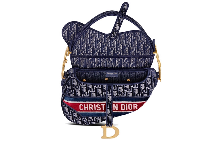 DIOR Saddle Oblique