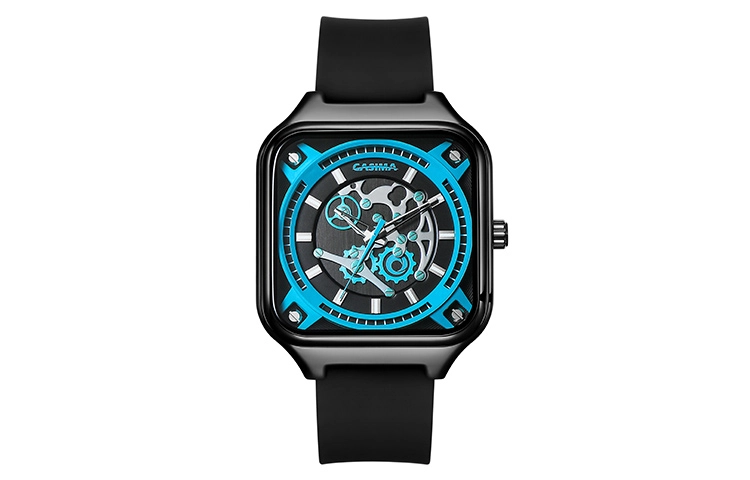 CasimaCp CS2153