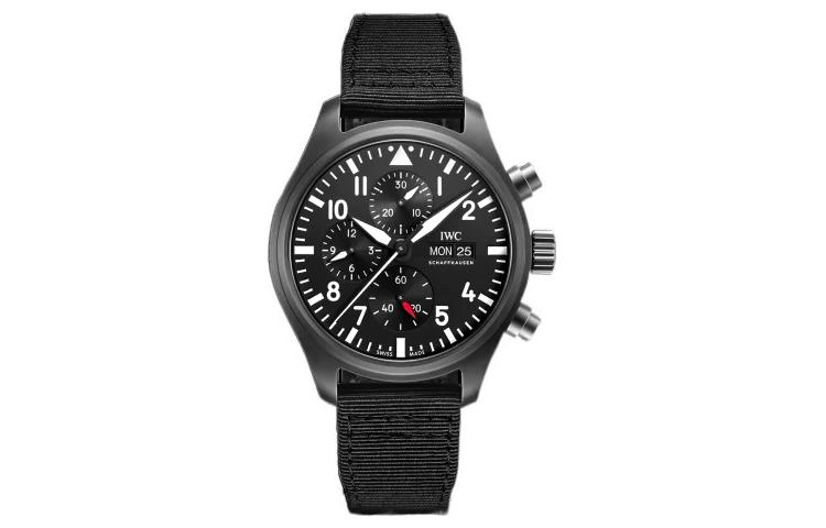 IWC 60 44.5mm IW389101