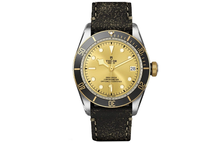 TUDOR 41mm M79733N-0003