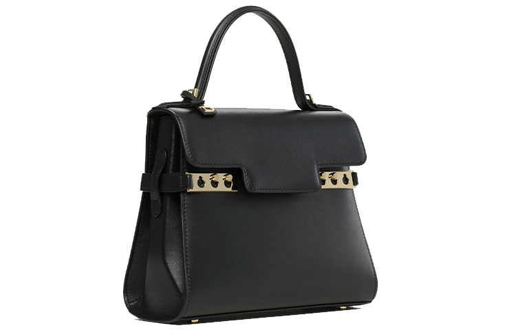 Delvaux Tempte