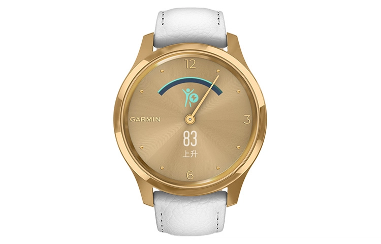 GARMIN 010-02241-68 GarminMove Luxe
