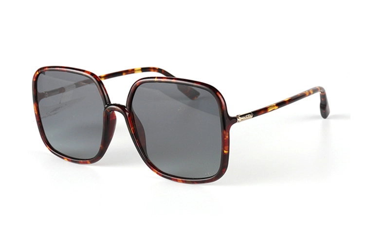 Dior Sostellaire1