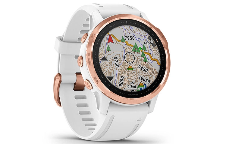 GARMIN Fenix6S pro 010-02159-61