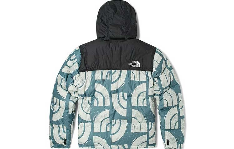 THE NORTH FACE 1996 Retro Nuptse 700