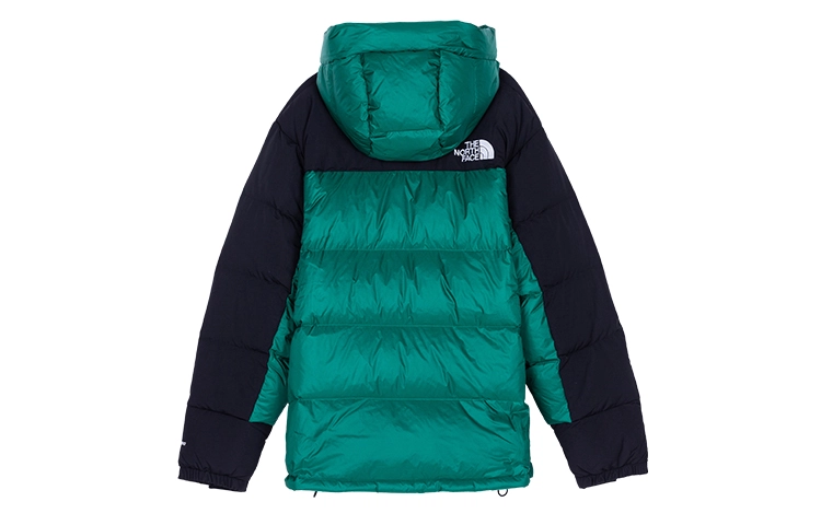 THE NORTH FACE DOWN PARKA ENERGY