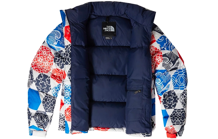 THE NORTH FACE 1996 Retro Nuptse 700