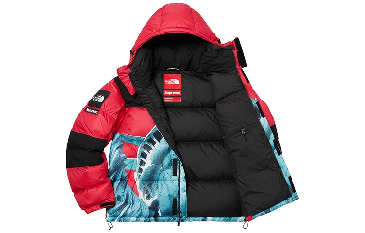 Supreme x THE NORTH FACE FW19 Week 10 Statue of Liberty Baltoro Baltoro