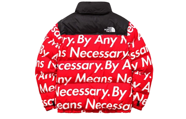 Supreme x THE NORTH FACE TNF FW15