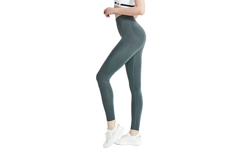 MOLY VIVI J3