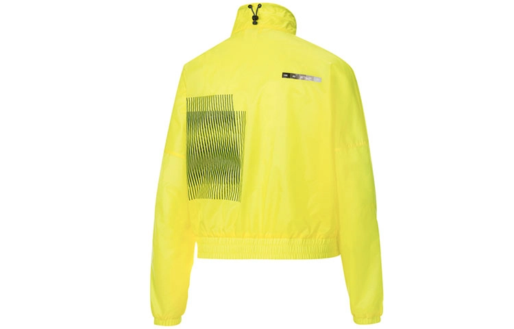 Puma x FELIPE PANTONE Logo