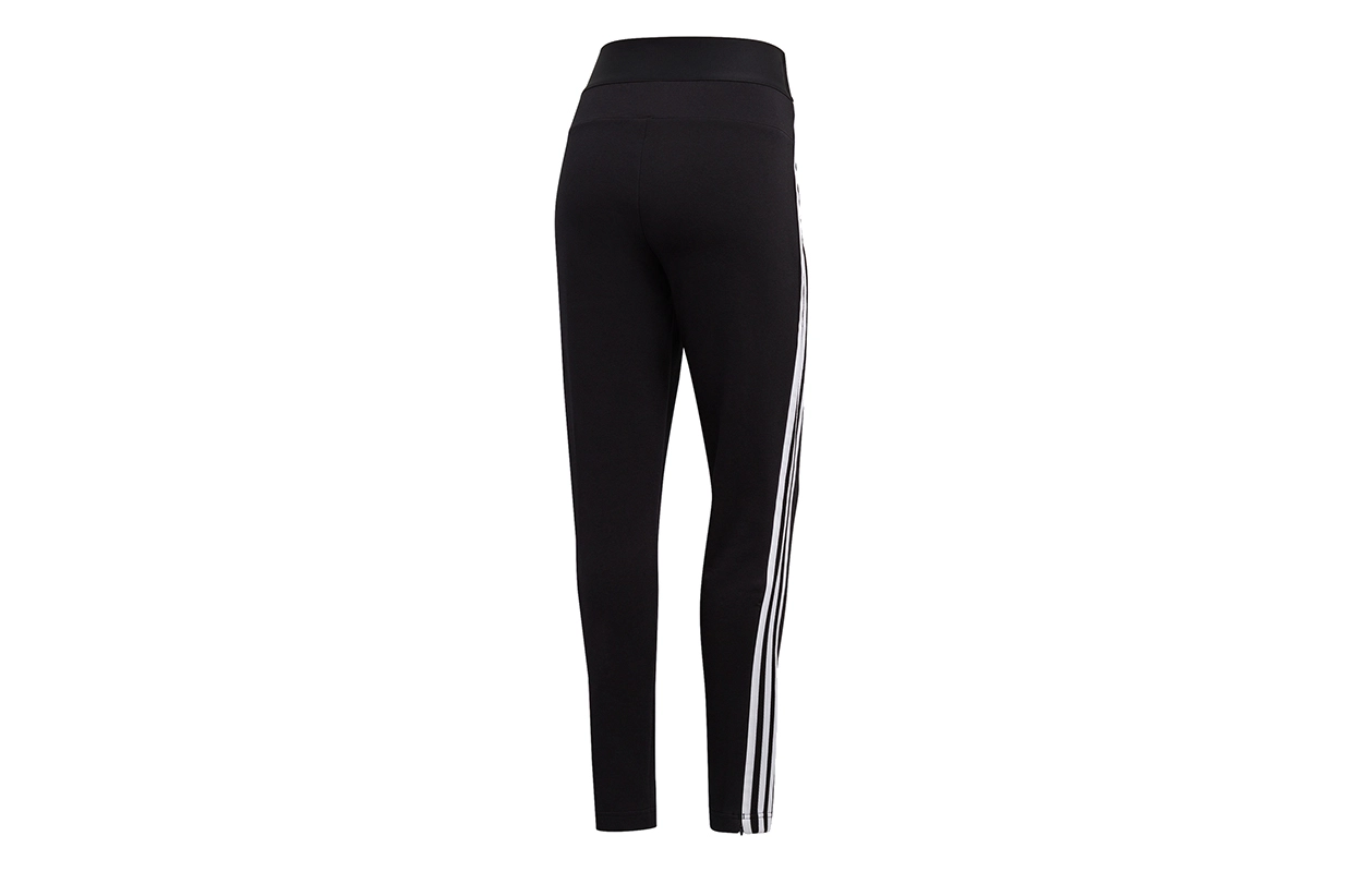 adidas W zne pant