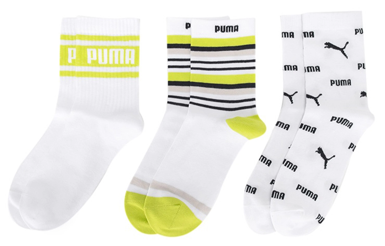 Puma 3
