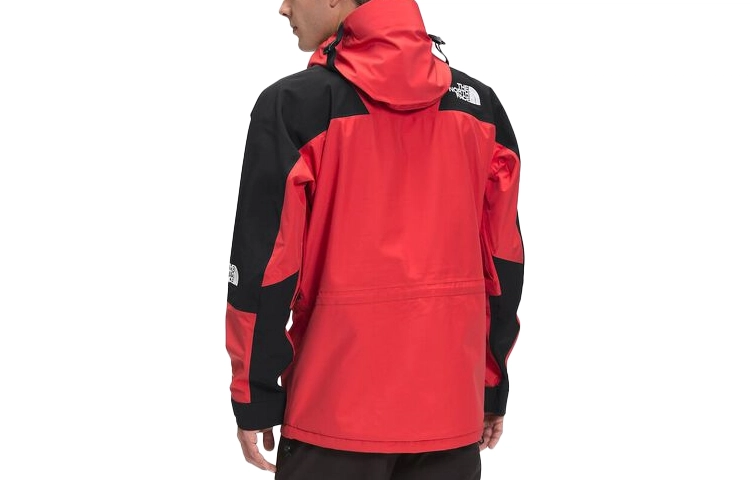 THE NORTH FACE 1994 Retro Mountain Futurelight