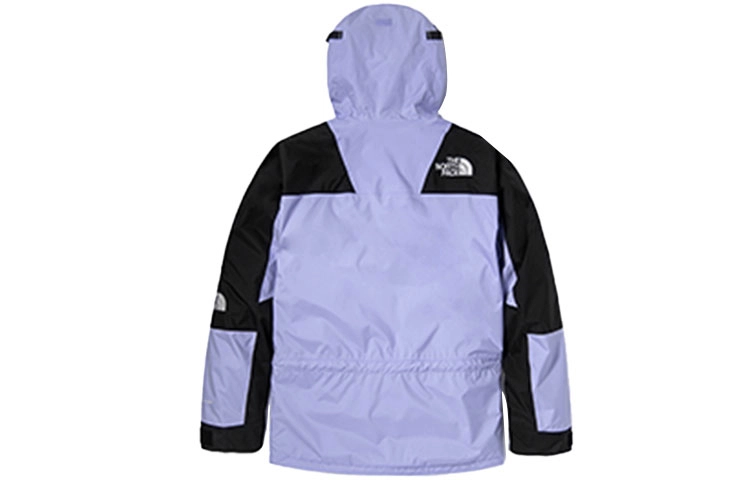 THE NORTH FACE 1994 Retro Mountain Futurelight