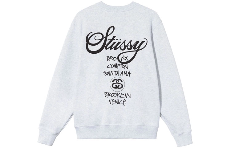 Stussy x DSM Logo